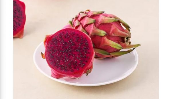 Red Flesh dragon fruit