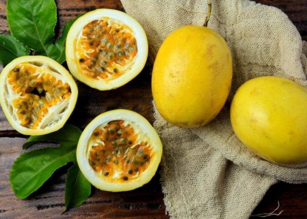 Passion Fruit / Maracuya