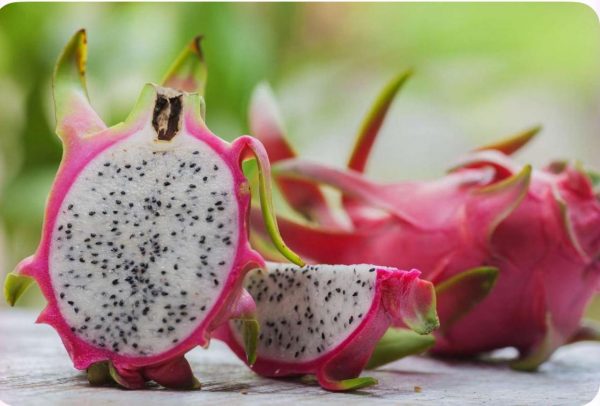 Red Dragon Fruit